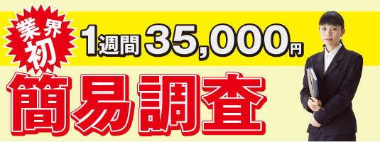 一週間35000円　簡易調査